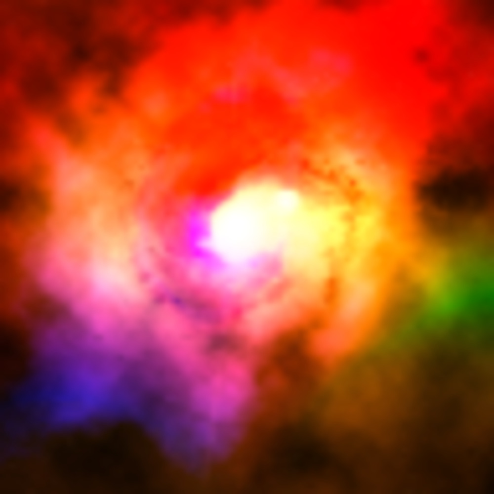 Meet your Posher, Dizzi.nova.